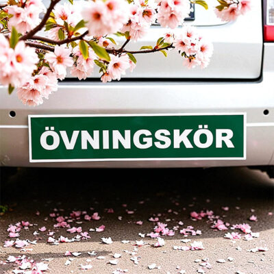 Magnetskylt övningskörning grön