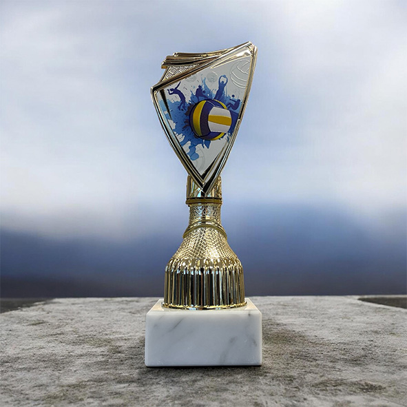 Pokal-Volleyboll-Guld-100mm