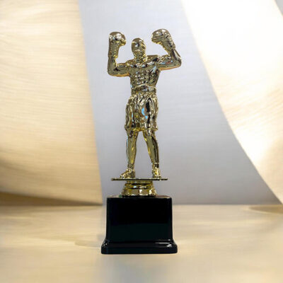 Statyett-Boxning-Guld-215mm