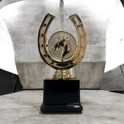 Statyett-Hast-Guld-175mm