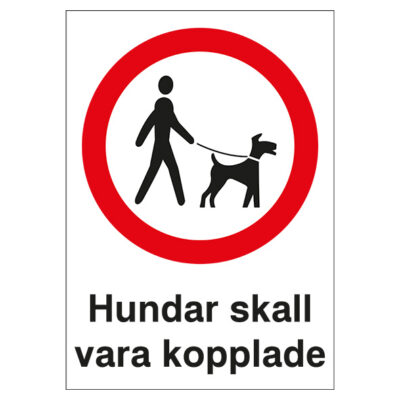 hundar skall vara kopplade bild 4